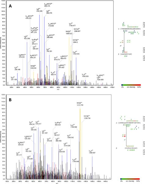 Cross Linking Mass Spectrometry Combined With Ion Mobility On A Timstof Pro Instrument For