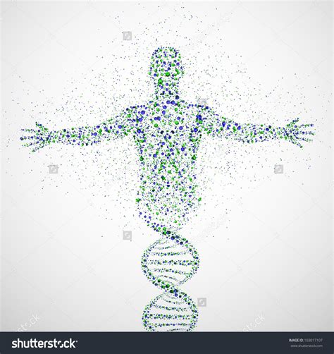 Abstract Model Of Man Of Dna Molecule Eps 10 Epigenetics Genetics