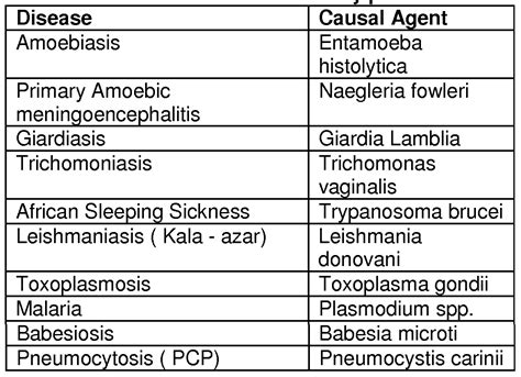 Neet Biology Human Health And Diseases Study Notes