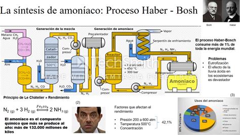 El proceso de Haber Bosh el ciclo biogeoquímico del nitrógeno y