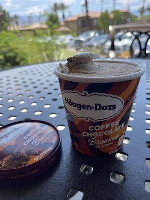 Haagen Dazs Coffee Chocolate Brownie City Sweets Frozen Ice Cream 14