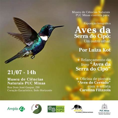 Exposi O Fotogr Fica Aves Da Serra Do Cip Um Outro Olhar Museu