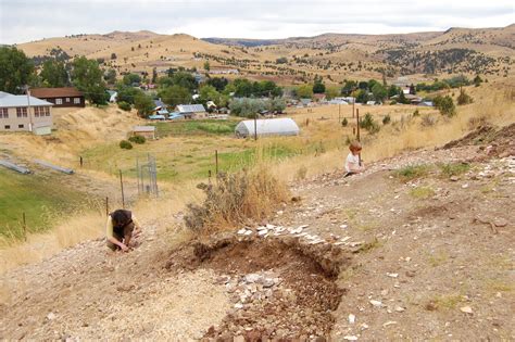 The Fossil Park In Oregon Where You Can Take Home Fossils