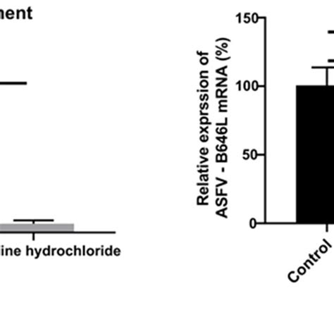 The Effect Of Berbamine Hydrochloride On The ASFV S Early Stage A