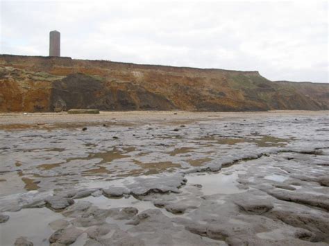 Walton-on-the-Naze London Clay Formation – Discovering Fossils