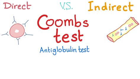 Direct Vs Indirect Coombs Test Youtube