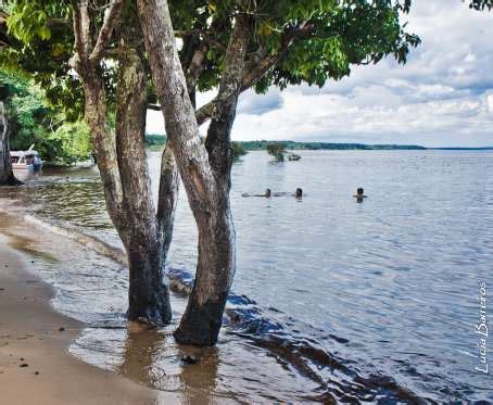 Regi O Norte Praias De Gua Doce Muito Al M Do Rio Amazonas