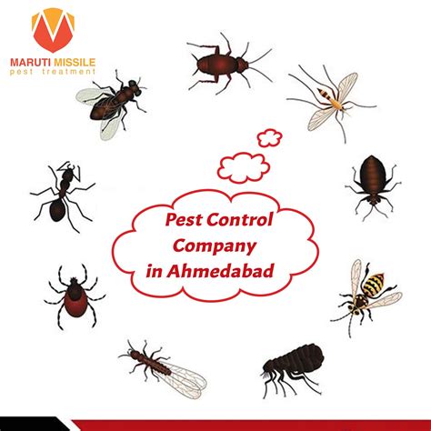 Pest Control Company In Ahmedabad Residential Pest Control Services In