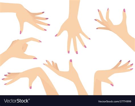 Set of beautiful woman hands Royalty Free Vector Image