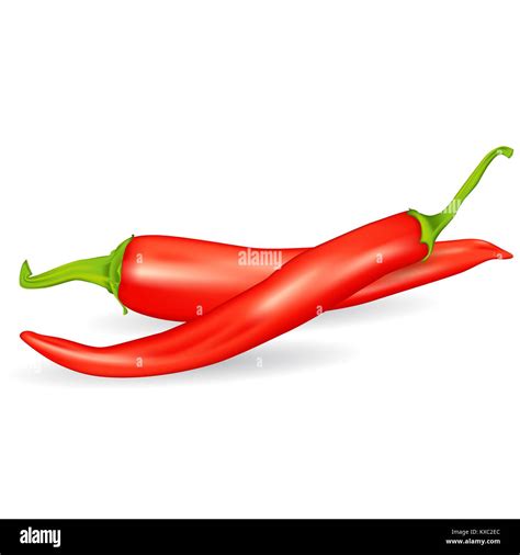 Realistic Red Hot Chili Pepper Stock Vector Image Art Alamy