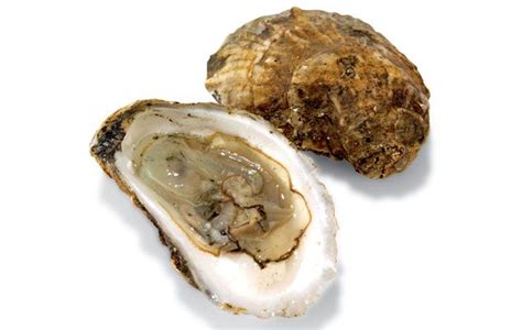 Oyster Nutritional Value Raw Blog Dandk