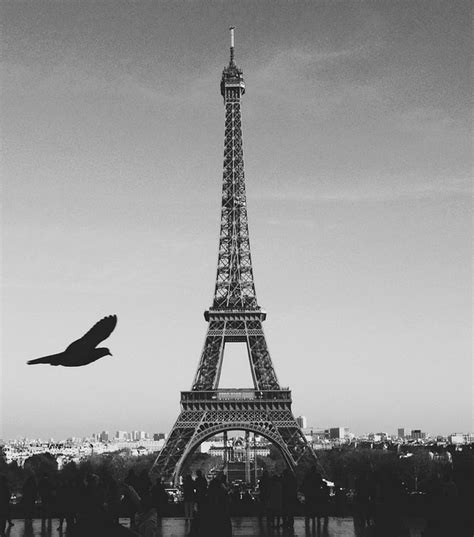 Eiffel Tower Black And White Wallpaper Hd