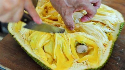 Jackfruit Recipes Numerous Ways To Cook With This Seasonal Delight Ndtv Food