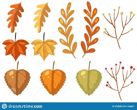 Set Of Different Autumn Leaves On White Background Stock Vector