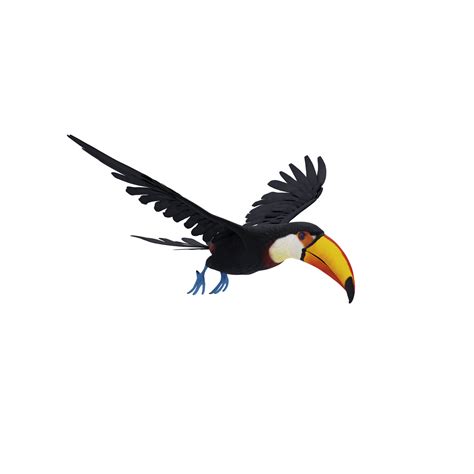 3d toucan bird isolated 18758226 PNG