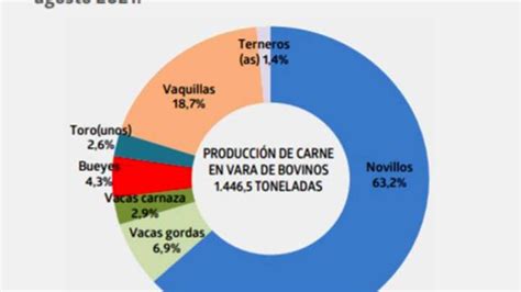 Producci N De Carne En Vara De Ganado Bovino De La Regi N Del Biob O