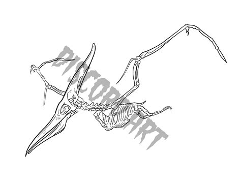 Pterodactyl Skeleton Digital PNG Tattoo Clip Art Download - Etsy