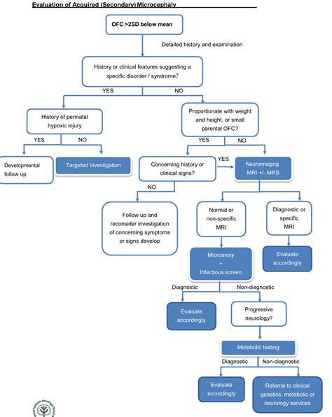 Microcephaly Diagnostic Guidelines