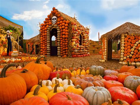 Best Pumpkin Patches In Los Angeles For Halloween Fun