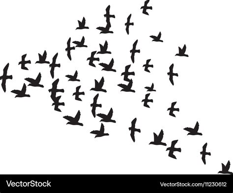 A Flock Of Birds Royalty Free Vector Image Vectorstock