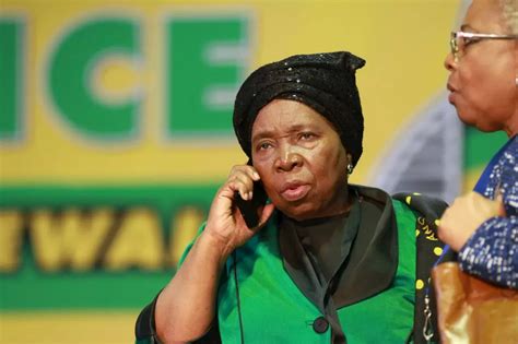 Dlamini Zuma May Face Political Sanction As Anc Nec Meets Sabc News