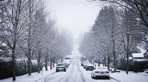 Snowboarder enjoys epic ride in Vancouver snow (VIDEO) | Lifestyle