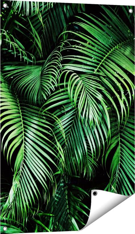 Gards Tuinposter Tropische Palm Bladeren Groen 60x90 Cm Tuindoek