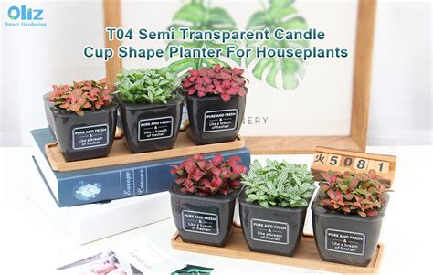 Indoor Self Watering Planter Set Cup Shape Flowerpot Oliz Oem