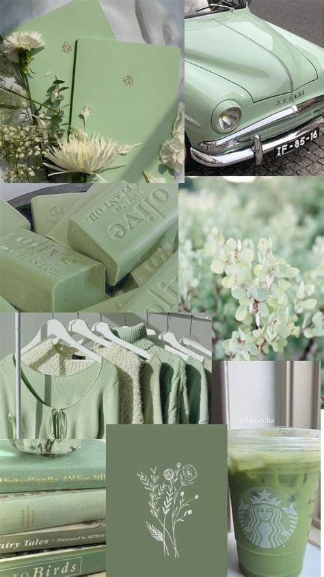 Green Aesthetic Collage | Green aesthetic, Aesthetic collage, Table ...