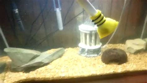 Homemade Aquarium Glass Cleaner Diy Youtube