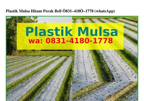 PPT Plastik Mulsa Hitam Perak Bell 0831 4180 1778 WA PowerPoint