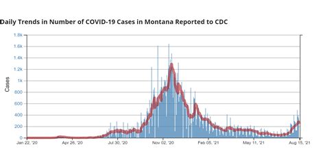 COVID cases rising, hospital capacity decreasing in Montana • Daily ...