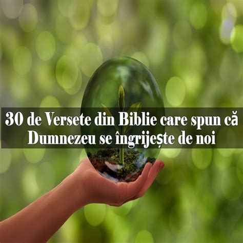 30 de Versete din Biblie care spun că Dumnezeu se îngrijește de noi