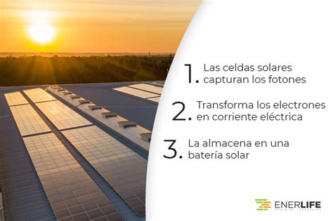 C Mo Funcionan Las Celdas Solares Enerlife