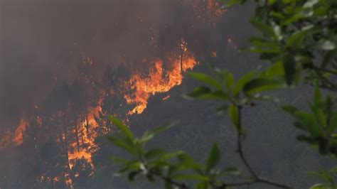 Os Incendios Devoran Máis De 4 300 Hectáreas En Galicia Con Tres