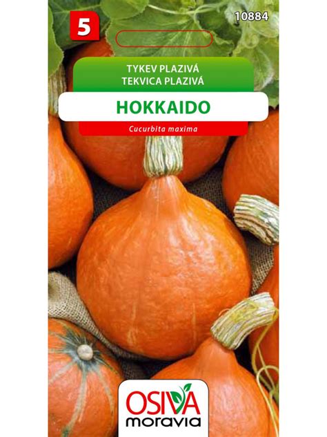 Seva Tekvica Hokkaido Sem Floramix Sk