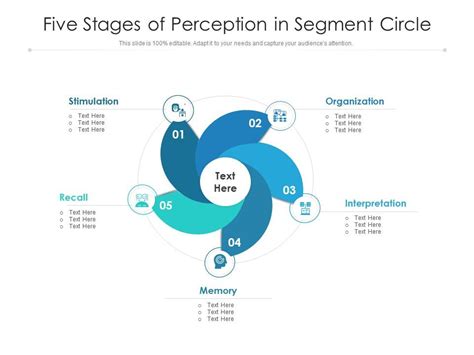 Five Stages Of Perception In Segment Circle | Presentation Graphics ...