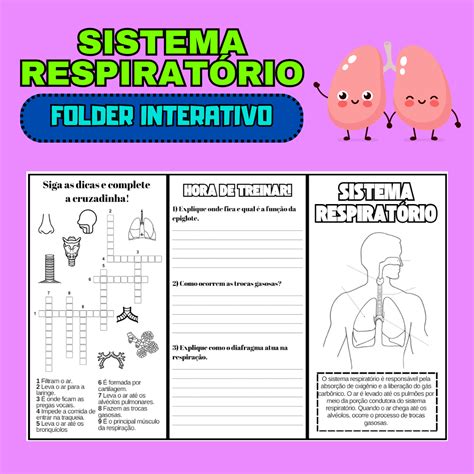 Atividades Sistema Respiratorio 5 Ano
