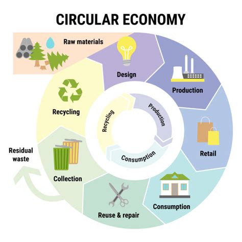 1300 Circular Economy Infographics Stock Photos Pictures And Royalty