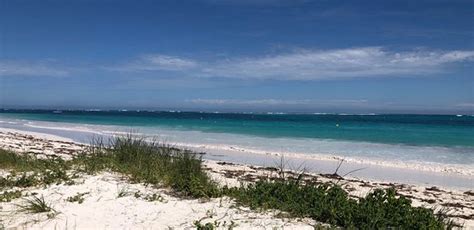 Back Beach Lancelin Updated 2020 All You Need To Know Before You Go