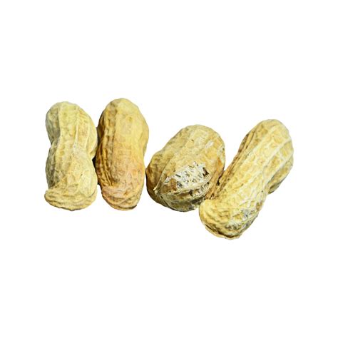 Four Roasted Nuts And Peanuts In A Row Horizontally Roasted Seeds Nut