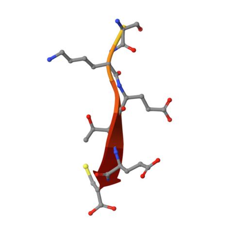 Rcsb Pdb Cqy Crystal Structure Of The Ptpn Pdz Domain Bound To The