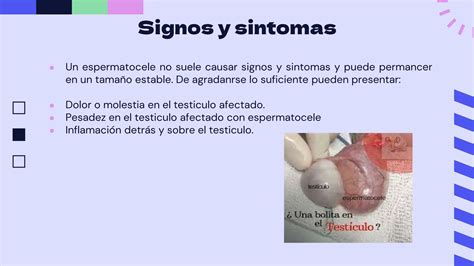 Hidrocele Y Espermatocele Pptx