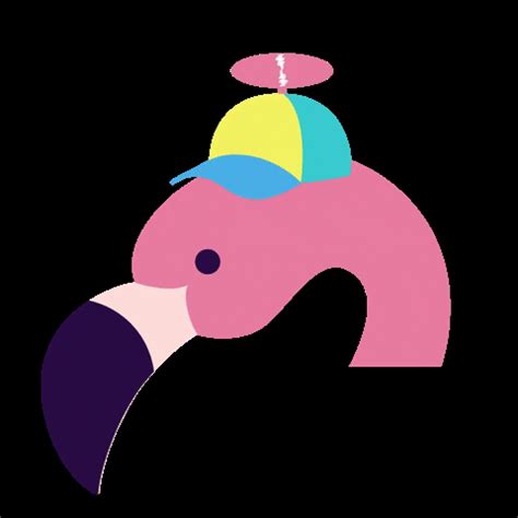 Flamingo GIF - Find & Share on GIPHY