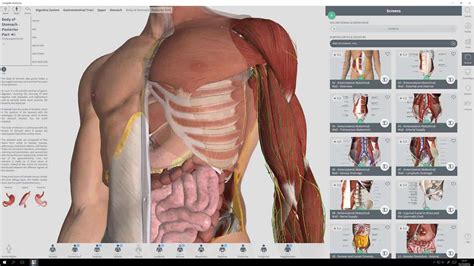 Award-winning medical app, Complete Anatomy, heads to the Windows Store ...