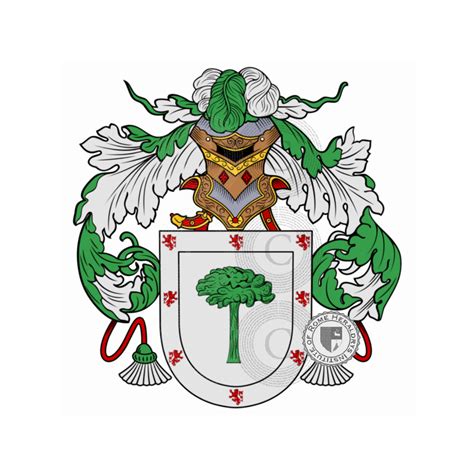 Viñolo familia heráldica genealogía escudo Viñolo