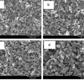 Sem Micrographs Of The Surfaces Of Sintered Sic Specimens A Sample