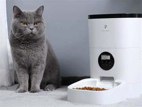 Introducing The Petlibro Automatic Cat Feeder The Purrington Post