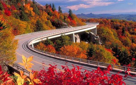 Blue Ridge Parkway Autumn Birds Of The Blue Ridge: American Redstart ...