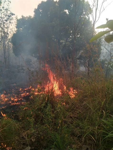 Nuestro Diario on Twitter SUCESOS Se registró un el incendio